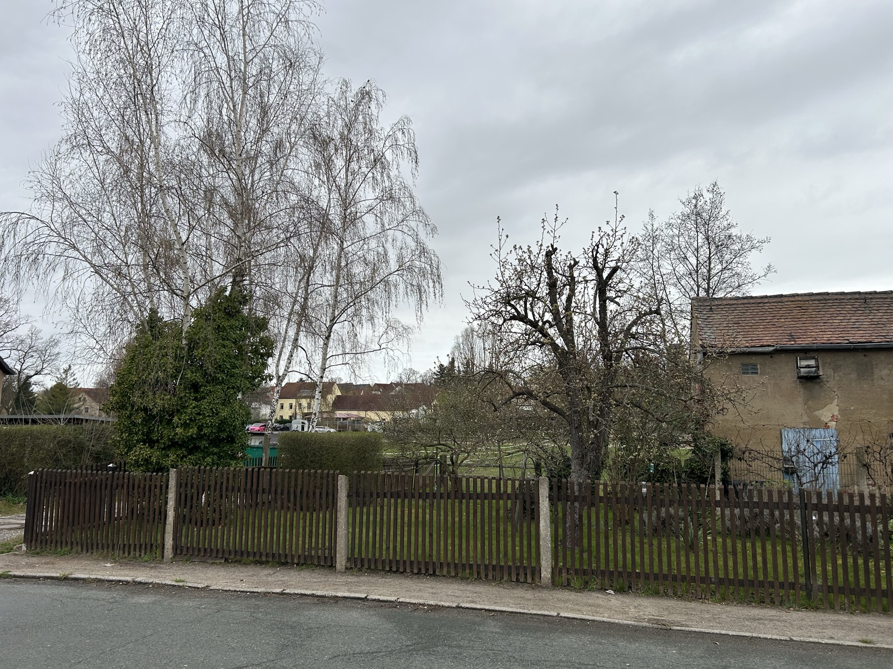 Straßenansicht Sehliser Str. 11: Holzzaun, Garten mit Birken und Stallgebäude in Panitzsch
