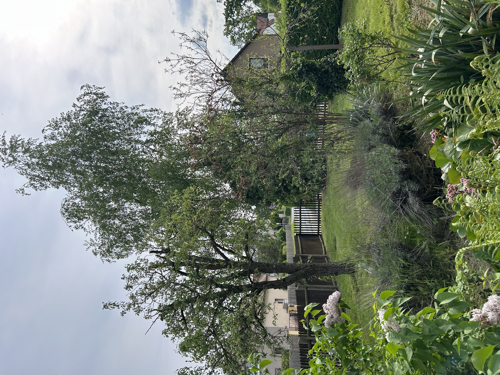 Blick vom Wohnhaus auf Garten und Straße, Sehliser Str. 11 Panitzsch