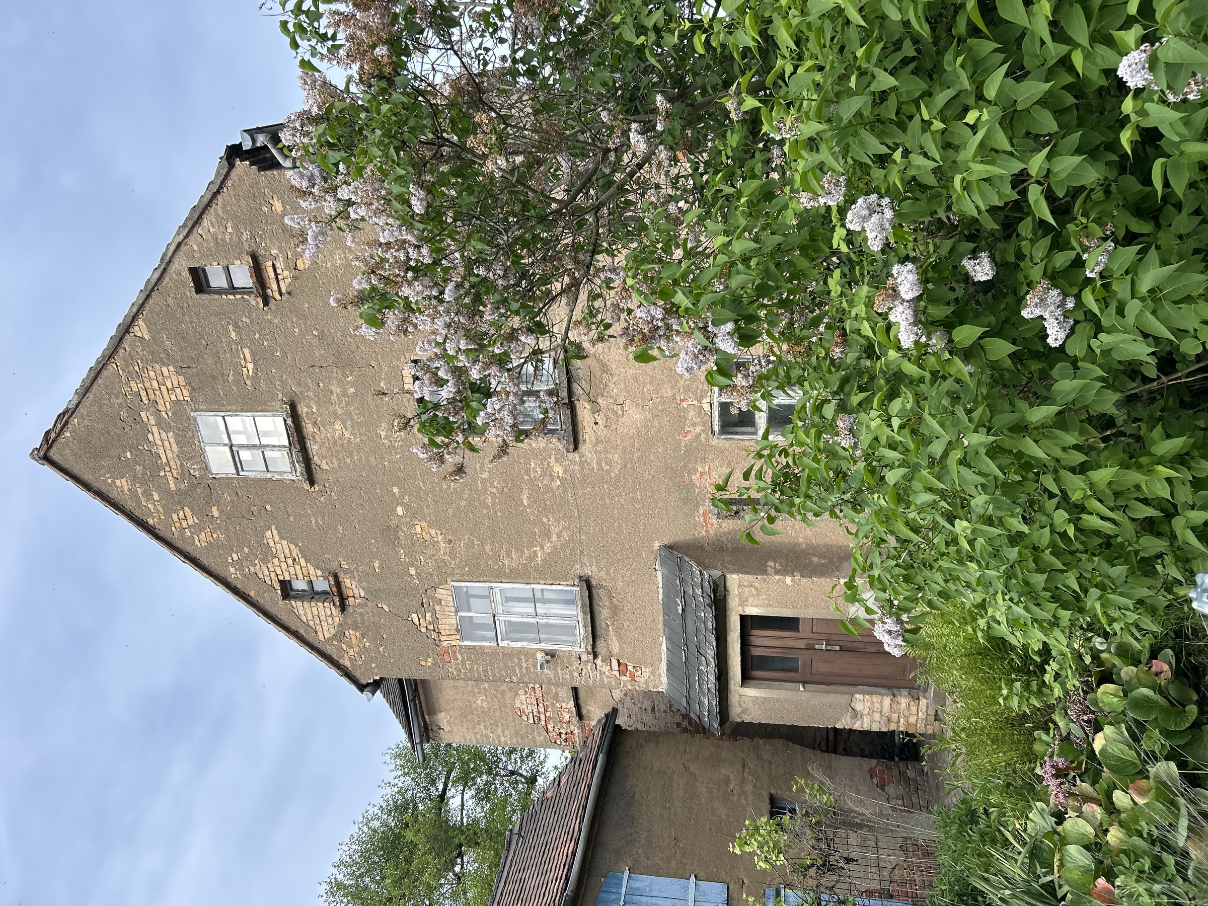Sanierungsbedürftiges Wohnhaus mit Putzfassade und Flieder, Sehliser Str. 11 Panitzsch, Leipzig-Umland